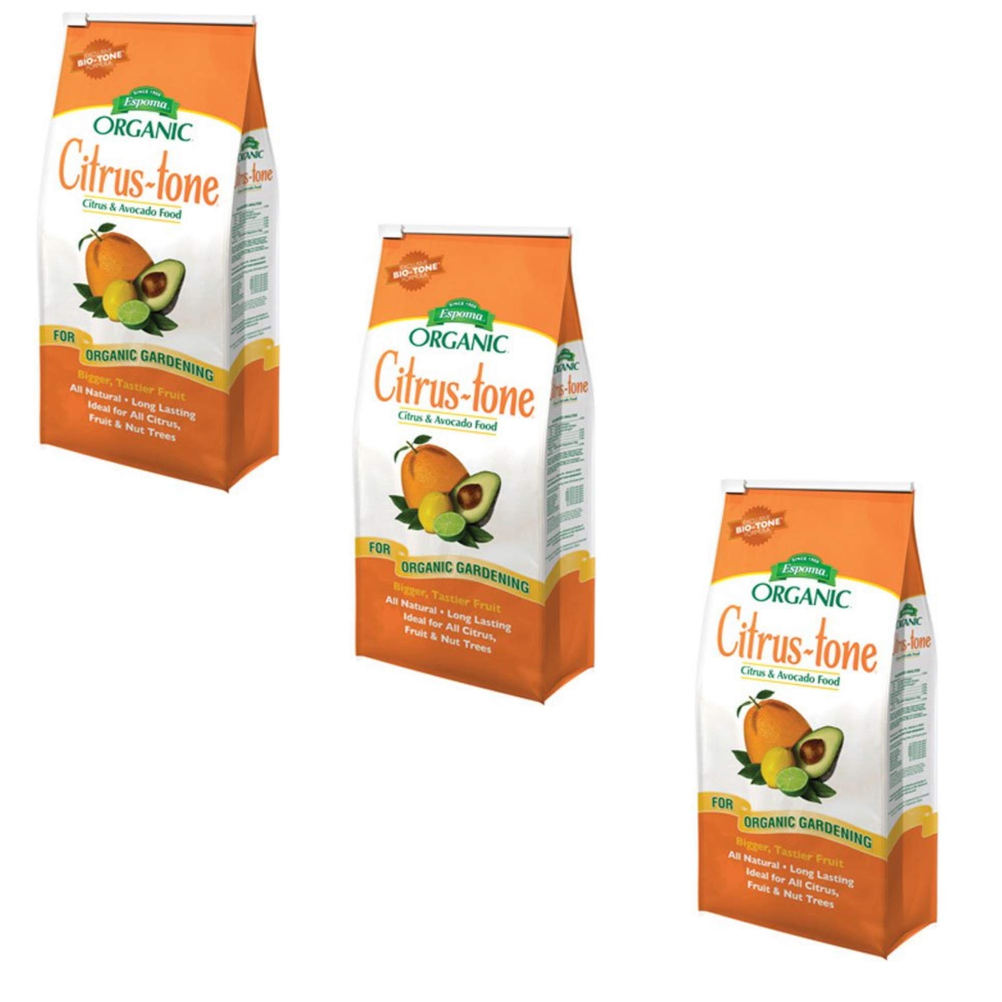 torioMAATEE&SONS Painter 25aw サイズ 3 MAATEE&SONS Painter 25aw サイズ 3 - メルカリ